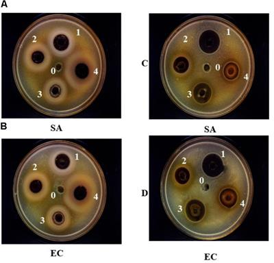Antimicrobial Properties and Mechanism of Action of Some Plant Extracts Against Food Pathogens and Spoilage Microorganisms